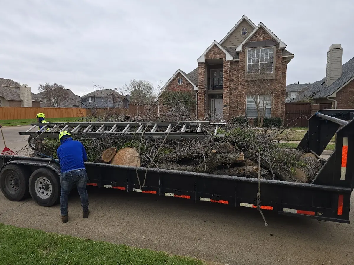 Expert Tree Pest Control with proper safety equipment in Park Hall